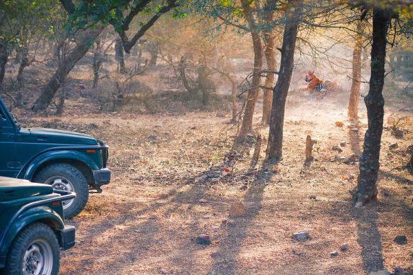 Ranthambore Ticket – Ranthambore guide with guests